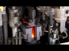 Rollo de vidrio de aceite esencial BLPF en botella